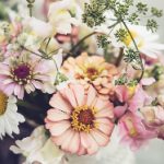 澳门皇冠赌场网站:探寻最受欢迎的在线博彩平台 u8o5ifa