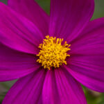 NBA常规赛激战正酣,锁定官方直播间见证巨星对决 9tgns58