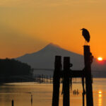 NBA常规赛直播时长究竟有多久?完整比赛时间解析 muopf