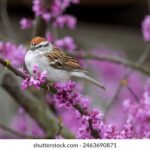 NBA常规赛焦点对决:太阳vs勇士全场次高清直播 wdywqv6